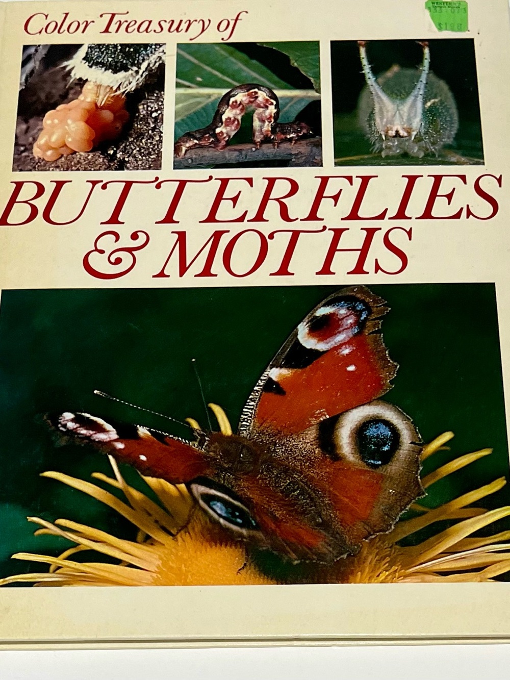 Color Treasury of Butterflies & Moths - Illustrated Nature Book (Cream/Red)